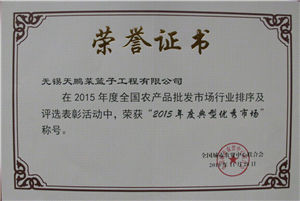 2015年度典型優(yōu)秀市場