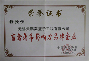 行業(yè)發(fā)展30年最具國際影響力市場