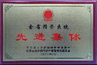 全省國(guó)資系統(tǒng)先進(jìn)集體獎(jiǎng)牌